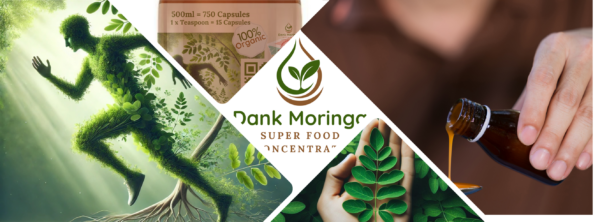 Dank Moringa Superfood Concentrate with Nano-Silver 500ml - Image 3